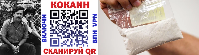 Кокаин Fish Scale  блэк спрут как войти  Заозёрный 