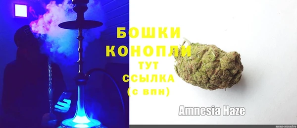 ПСИЛОЦИБИНОВЫЕ ГРИБЫ Балабаново