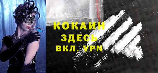 прущие грибы Балахна