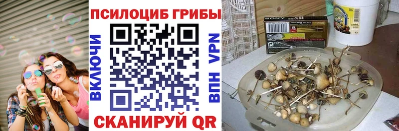 Псилоцибиновые грибы мицелий  закладки  Заозёрный 